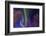 Aurora borealis, Northern Lights, near Fairbanks, Alaska-Stuart Westmorland-Framed Photographic Print