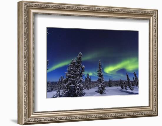 Aurora borealis, Northern Lights near Fairbanks, Alaska-Stuart Westmorland-Framed Photographic Print