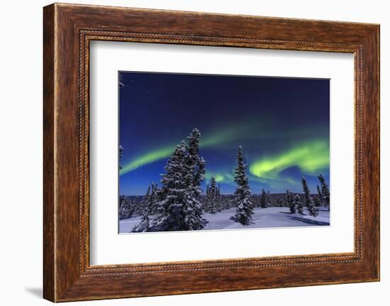 Aurora borealis, Northern Lights near Fairbanks, Alaska-Stuart Westmorland-Framed Photographic Print