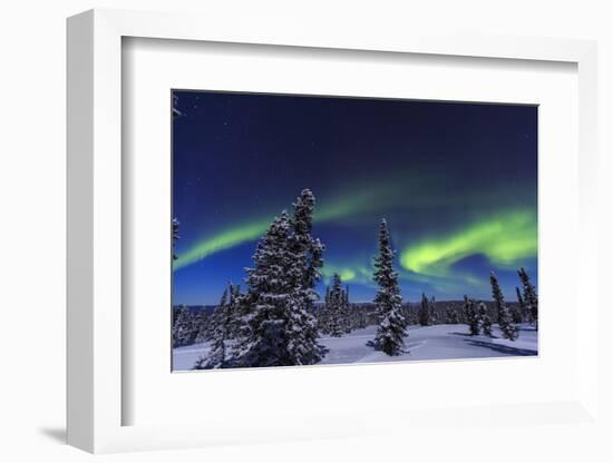 Aurora borealis, Northern Lights near Fairbanks, Alaska-Stuart Westmorland-Framed Photographic Print