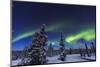 Aurora borealis, Northern Lights near Fairbanks, Alaska-Stuart Westmorland-Mounted Photographic Print