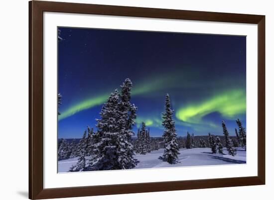 Aurora borealis, Northern Lights near Fairbanks, Alaska-Stuart Westmorland-Framed Photographic Print