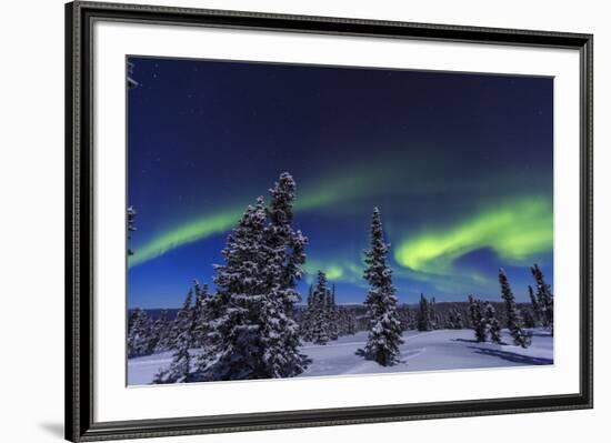 Aurora borealis, Northern Lights near Fairbanks, Alaska-Stuart Westmorland-Framed Photographic Print