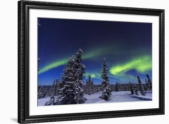 Aurora borealis, Northern Lights near Fairbanks, Alaska-Stuart Westmorland-Framed Photographic Print