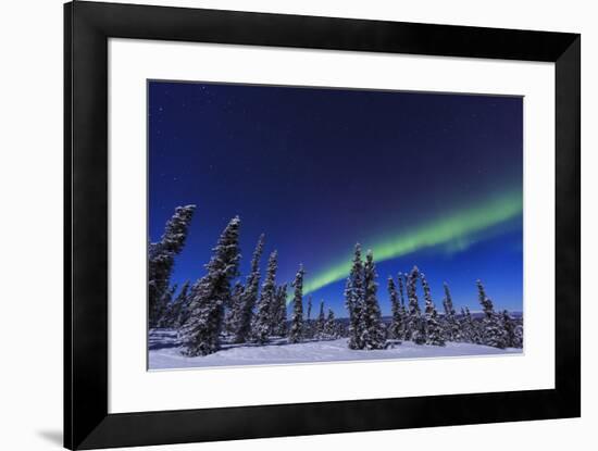 Aurora borealis, Northern Lights near Fairbanks, Alaska-Stuart Westmorland-Framed Photographic Print