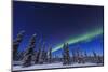 Aurora borealis, Northern Lights near Fairbanks, Alaska-Stuart Westmorland-Mounted Photographic Print
