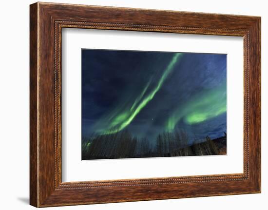 Aurora borealis, Northern Lights, near Fairbanks, Alaska-Stuart Westmorland-Framed Photographic Print