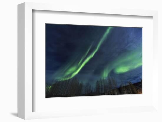 Aurora borealis, Northern Lights, near Fairbanks, Alaska-Stuart Westmorland-Framed Photographic Print