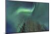 Aurora borealis, Northern Lights, near Fairbanks, Alaska-Stuart Westmorland-Mounted Photographic Print