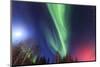 Aurora borealis, Northern Lights, near Fairbanks, Alaska-Stuart Westmorland-Mounted Photographic Print