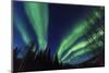 Aurora borealis, Northern Lights, near Fairbanks, Alaska-Stuart Westmorland-Mounted Photographic Print
