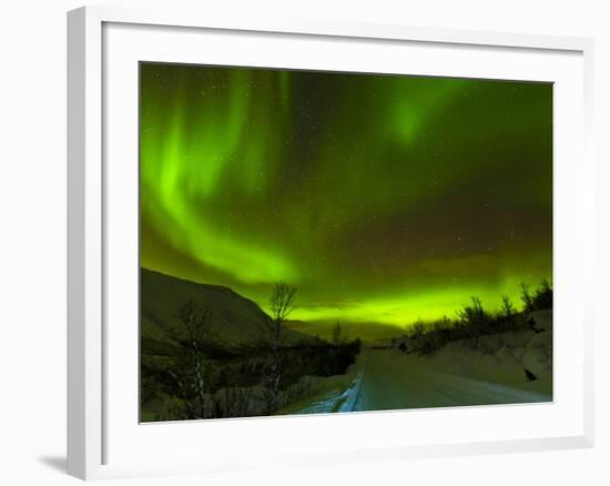 Aurora Borealis (Northern Lights) Seen over a Snow Covered Road, Troms, North Norway, Scandinavia, -Neale Clark-Framed Photographic Print