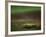 Aurora Borealis, Northern Lights, Troms Region, Norway-Gavin Hellier-Framed Photographic Print