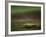 Aurora Borealis, Northern Lights, Troms Region, Norway-Gavin Hellier-Framed Photographic Print