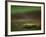 Aurora Borealis, Northern Lights, Troms Region, Norway-Gavin Hellier-Framed Photographic Print