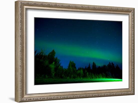 Aurora Borealis (Northern Lights) viewed from Denali Princess Wilderness Lodge, Alaska, USA-Laura Grier-Framed Photographic Print