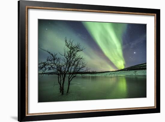 Aurora Borealis on the Frozen Lagoon of Jaegervatnet, Stortind, Lyngen Alps, Troms, Lapland, Norway-Roberto Moiola-Framed Photographic Print