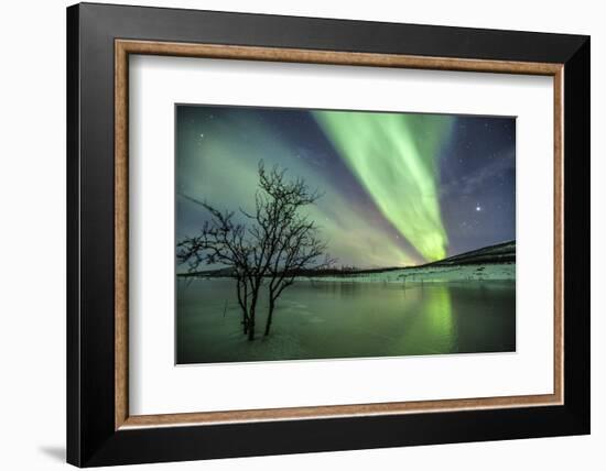 Aurora Borealis on the Frozen Lagoon of Jaegervatnet, Stortind, Lyngen Alps, Troms, Lapland, Norway-Roberto Moiola-Framed Photographic Print