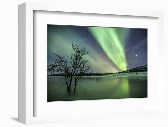 Aurora Borealis on the Frozen Lagoon of Jaegervatnet, Stortind, Lyngen Alps, Troms, Lapland, Norway-Roberto Moiola-Framed Photographic Print