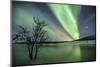 Aurora Borealis on the Frozen Lagoon of Jaegervatnet, Stortind, Lyngen Alps, Troms, Lapland, Norway-Roberto Moiola-Mounted Photographic Print