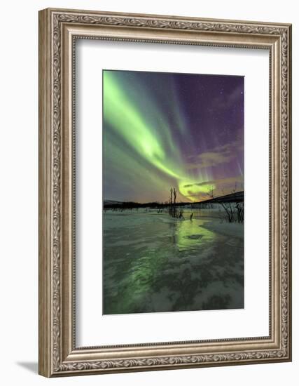 Aurora Borealis on the Frozen Lagoon of Jaegervatnet, Stortind, Lyngen Alps, Troms, Lapland, Norway-Roberto Moiola-Framed Photographic Print