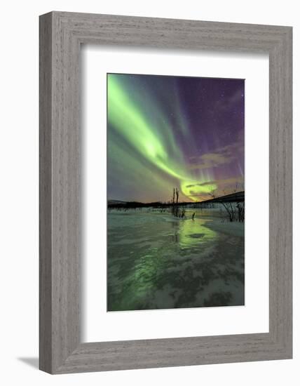 Aurora Borealis on the Frozen Lagoon of Jaegervatnet, Stortind, Lyngen Alps, Troms, Lapland, Norway-Roberto Moiola-Framed Photographic Print