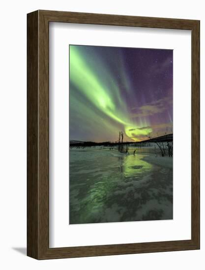 Aurora Borealis on the Frozen Lagoon of Jaegervatnet, Stortind, Lyngen Alps, Troms, Lapland, Norway-Roberto Moiola-Framed Photographic Print