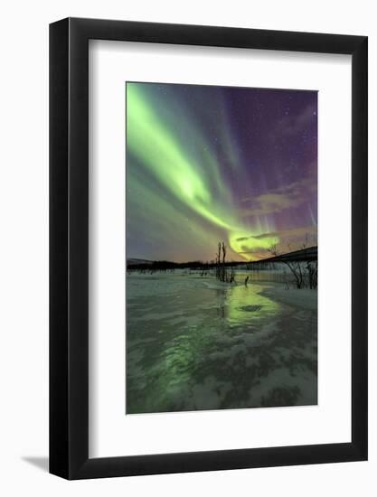 Aurora Borealis on the Frozen Lagoon of Jaegervatnet, Stortind, Lyngen Alps, Troms, Lapland, Norway-Roberto Moiola-Framed Photographic Print