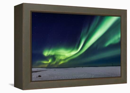 Aurora Borealis or Northern Lights, Iceland, Power Lines by the Jokulsarlon-null-Framed Premier Image Canvas