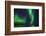 Aurora Borealis or Northern Lights, Iceland-Arctic-Images-Framed Photographic Print