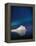 Aurora Borealis or Northern Lights in Iceland-Arctic-Images-Framed Premier Image Canvas