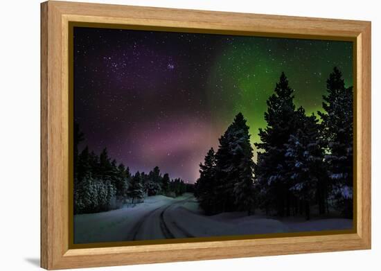 Aurora Borealis or Northern Lights, Lapland, Sweden-null-Framed Premier Image Canvas