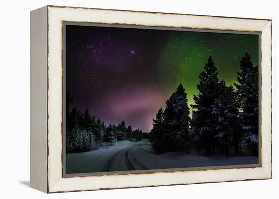 Aurora Borealis or Northern Lights, Lapland, Sweden-null-Framed Premier Image Canvas