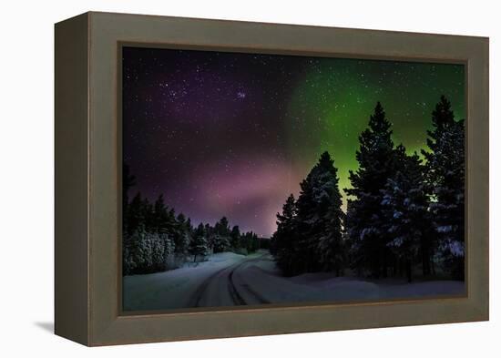 Aurora Borealis or Northern Lights, Lapland, Sweden-null-Framed Premier Image Canvas