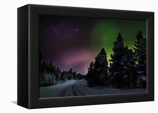 Aurora Borealis or Northern Lights, Lapland, Sweden-null-Framed Premier Image Canvas