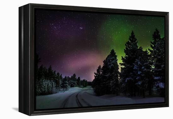 Aurora Borealis or Northern Lights, Lapland, Sweden-null-Framed Premier Image Canvas