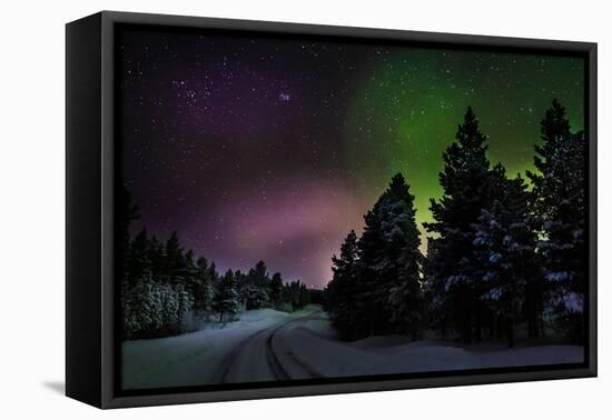 Aurora Borealis or Northern Lights, Lapland, Sweden-null-Framed Premier Image Canvas