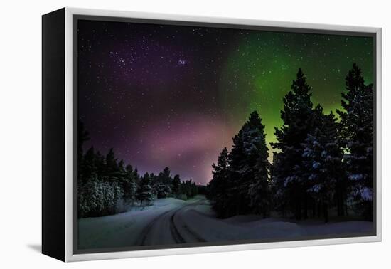 Aurora Borealis or Northern Lights, Lapland, Sweden-null-Framed Premier Image Canvas
