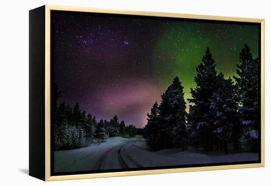 Aurora Borealis or Northern Lights, Lapland, Sweden-null-Framed Premier Image Canvas