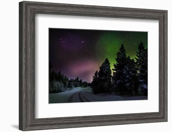 Aurora Borealis or Northern Lights, Lapland, Sweden-null-Framed Photographic Print