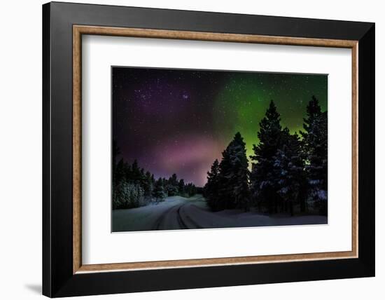 Aurora Borealis or Northern Lights, Lapland, Sweden-null-Framed Photographic Print