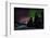 Aurora Borealis or Northern Lights, Lapland, Sweden-null-Framed Photographic Print