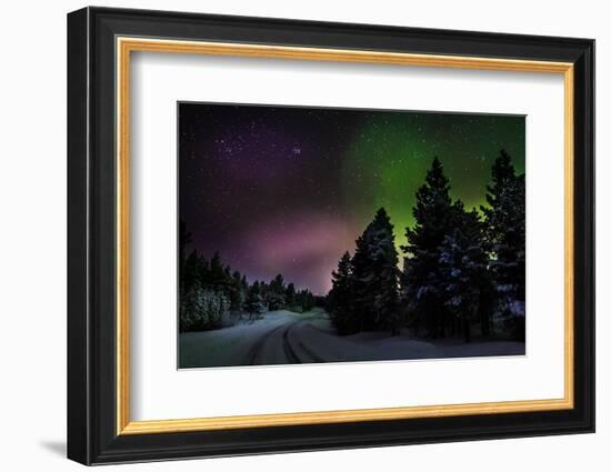 Aurora Borealis or Northern Lights, Lapland, Sweden-null-Framed Photographic Print