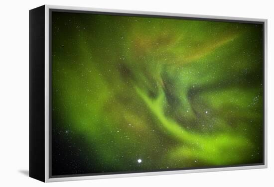 Aurora Borealis or Northern Lights, Lapland, Sweden-Arctic-Images-Framed Premier Image Canvas