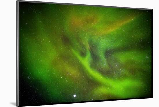 Aurora Borealis or Northern Lights, Lapland, Sweden-Arctic-Images-Mounted Photographic Print