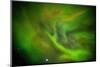 Aurora Borealis or Northern Lights, Lapland, Sweden-Arctic-Images-Mounted Photographic Print