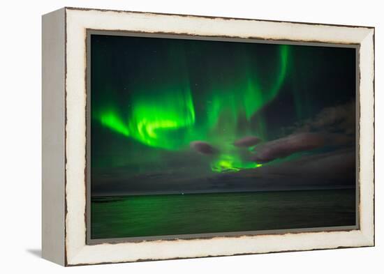 Aurora Borealis or Northern Lights, Reykjavik, Iceland-null-Framed Premier Image Canvas