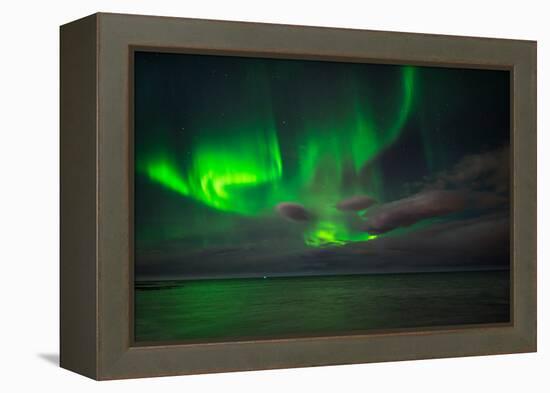 Aurora Borealis or Northern Lights, Reykjavik, Iceland-null-Framed Premier Image Canvas