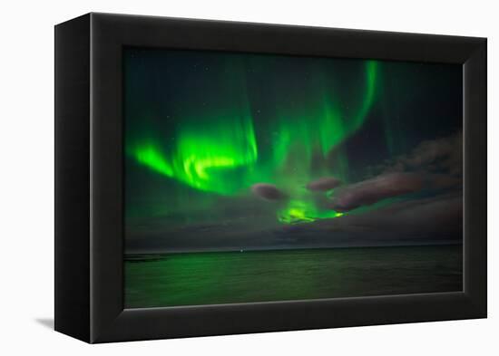 Aurora Borealis or Northern Lights, Reykjavik, Iceland-null-Framed Premier Image Canvas