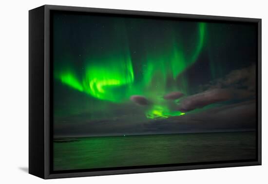 Aurora Borealis or Northern Lights, Reykjavik, Iceland-null-Framed Premier Image Canvas